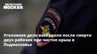 Ольга Врадий - Уголовное дело возбудили после смерти двух рабочих при чистке крыш в Подмосковье - vm.ru - Москва - Россия - Московская обл. - Подольск