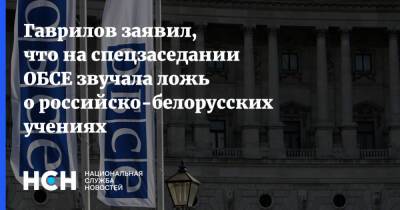 Константин Гаврилов - Гаврилов заявил, что на спецзаседании ОБСЕ звучала ложь о российско-белорусских учениях - nsn.fm - Россия - Украина - Вена