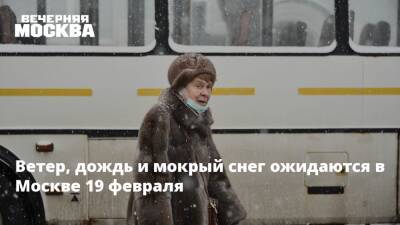 Александр Шувалов - Андрей Продеус - Ветер, дождь и мокрый снег ожидаются в Москве 19 февраля - vm.ru - Москва - Москва