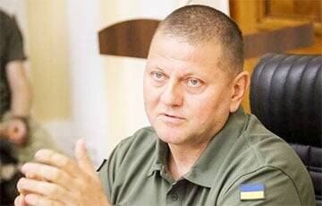 Валерий Залужный - Главнокомандующий ВСУ - жителям Донбасса: Никаких наступательных операций не планируется - charter97.org - Россия - Украина - Белоруссия - Донецк - Донбасс