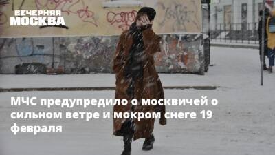 Александр Шувалов - МЧС предупредило о москвичей о сильном ветре и мокром снеге 19 февраля - vm.ru - Москва - Россия - Москва