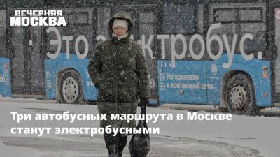 Сергей Собянин - Три автобусных маршрута в Москве станут электробусными - vm.ru - Москва - Москва