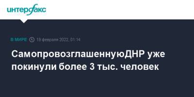 Денис Пушилин - Леонид Пасечник - Самопровозглашенную ДНР уже покинули более 3 тыс. человек - interfax.ru - Москва - Россия - Украина - ДНР - Ростовская обл. - ЛНР - Донбасс