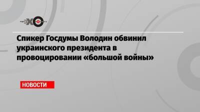 Владимир Зеленский - Вячеслав Володин - Спикер Госдумы Володин обвинил украинского президента в провоцировании «большой войны» - echo.msk.ru - Россия - Украина - Киев - ДНР - ЛНР