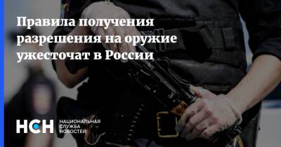 Правила получения разрешения на оружие ужесточат в России - nsn.fm - Москва - Россия