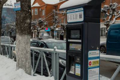 На обслуживание платных парковок в Рязани выделили 66 млн рублей - rzn.mk.ru - Рязань