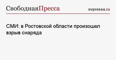 СМИ: в Ростовской области произошел взрыв снаряда - svpressa.ru - Россия - Украина - Бразилия - Ростовская обл. - район Тарасовский