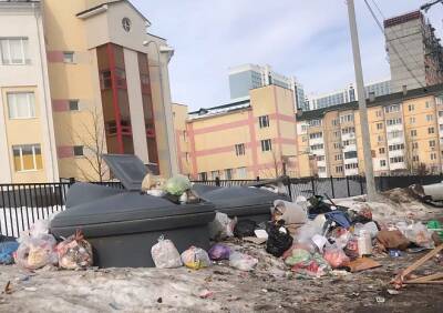 У рязанской школы №73 уже две недели не вывозят мусор - ya62.ru - Рязань