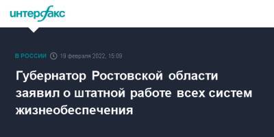 Василий Голубев - Губернатор Ростовской области заявил о штатной работе всех систем жизнеобеспечения - interfax.ru - Москва - Россия - ДНР - Ростовская обл. - ЛНР