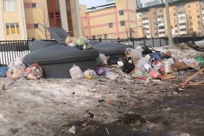 У школы № 73 в Рязани две недели не вывозят мусор - rzn.mk.ru - Рязань