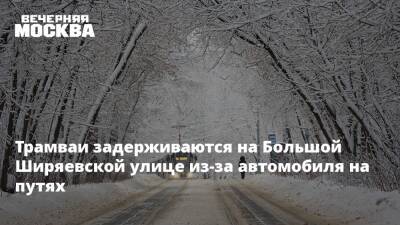 Трамваи задерживаются на Большой Ширяевской улице из-за автомобиля на путях - vm.ru - Москва