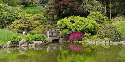 Клод Моне - 12 самых потрясающих ботанических садов мира - fokus-vnimaniya.com - Франция - Рио-Де-Жанейро - Нью-Йорк - Нью-Йорк - Таиланд