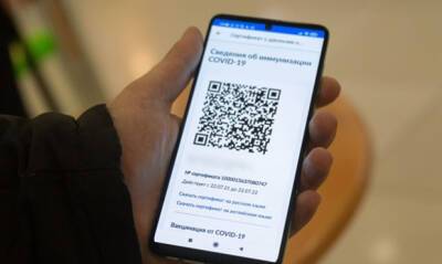 Татьяна Голикова - Российские власти отложили выдачу QR-кодов на основании антител к коронавирусу - og.ru