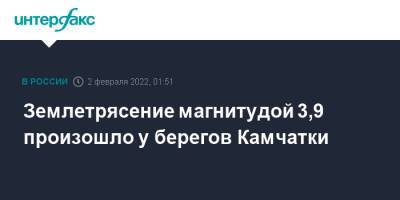 Землетрясение магнитудой 3,9 произошло у берегов Камчатки - interfax.ru - Москва - Россия - Камчатский край - Петропавловск-Камчатский