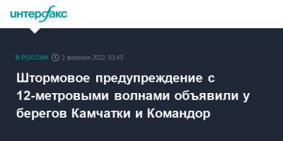 Штормовое предупреждение с 12-метровыми волнами объявили у берегов Камчатки и Командор - interfax.ru - Москва - Россия - Камчатский край
