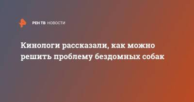 Кинологи рассказали, как можно решить проблему бездомных собак - ren.tv - Россия