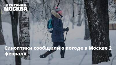 Синоптики сообщили о погоде в Москве 2 февраля - vm.ru - Москва - Московская обл. - Москва