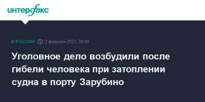 Уголовное дело возбудили после гибели человека при затоплении судна в порту Зарубино - interfax.ru - Москва - Россия - Приморье край - район Хасанский