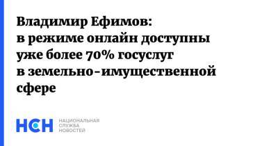 Владимир Ефимов - Владимир Ефимов: в режиме онлайн доступны уже более 70% госуслуг в земельно-имущественной сфере - nsn.fm - Москва