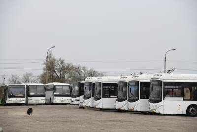 В Волгограде 2 февраля изменится схема движения автобусов №35 и 98 - volg.mk.ru - Волгоград