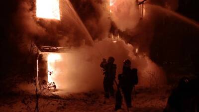 Жертвами пожара в поселке Рыбачий под Новосибирском стали два человека - inforeactor.ru - Россия - Новосибирск - район Колыванский