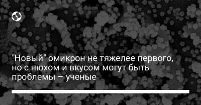 "Новый" омикрон не тяжелее первого, но с нюхом и вкусом могут быть проблемы – ученые - liga.net - Украина - Англия - Дания