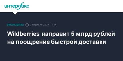 Wildberries направит 5 млрд рублей на поощрение быстрой доставки - interfax.ru - Москва - Россия - Wildberries