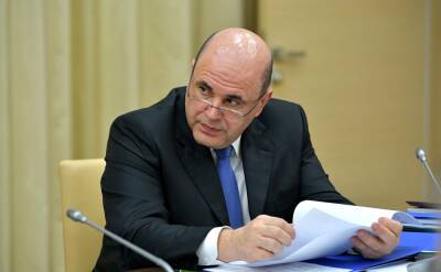 Михаил Мишустин - Художница создала портрет Михаила Мишустина из оскудевшей продуктовой корзины - znak.com - Россия - Башкирия