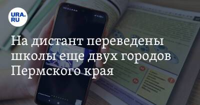 На дистант переведены школы еще двух городов Пермского края - ura.news - Пермь - Пермский край - Соликамск