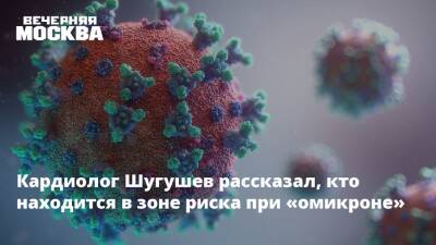 Кардиолог Шугушев рассказал, кто находится в зоне риска при «омикроне» - vm.ru