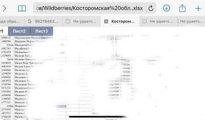 Хакеры открыто выложили в Сеть клиентскую базу магазина Wildberries - newizv.ru - Кострома