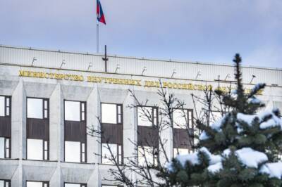 МВД предложило поменять правила признания иностранцев нежелательными в РФ - aif.ru - Россия