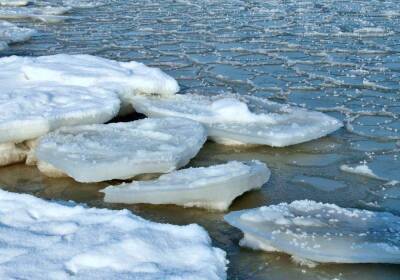 Предсказывающий весну сурок внезапно умер прямо перед днем сурка - newsland.com - США - шт. Огайо - Нью-Йорк - шт.Нью-Джерси - шт. Нью-Йорк - шт.Пенсильвания