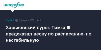 Харьковский сурок Тимка III предсказал весну по расписанию, но нестабильную - interfax.ru - Москва - Россия - США - Украина - Харьковская обл. - Харьков - Москва - Петербург - Харьков