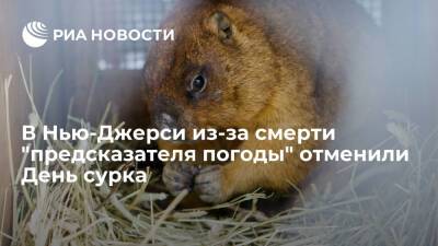В американском штате Нью-Джерси из-за смерти "предсказателя погоды" отменили День сурка - ria.ru - США - Вашингтон - USA - шт.Нью-Джерси