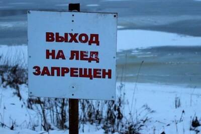 В Рыбинске пожилой рыбак провалился под лед - yar.mk.ru - Рыбинск