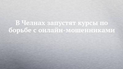 В Челнах запустят курсы по борьбе с онлайн-мошенниками - chelny-izvest.ru - респ. Татарстан - Набережные Челны