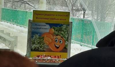 Воронежцы запустили флешмоб в поддержку позитивных водителей маршруток - gorcom36.ru - Воронеж