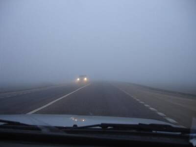 Фарид Зохрабов - Завтра из-за тумана будет ограничена видимость на ряде дорог Азербайджана - trend.az - Азербайджан