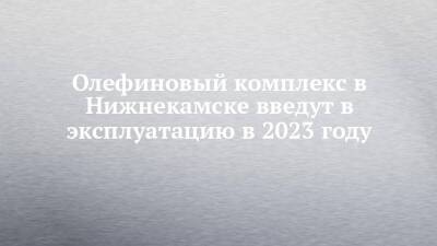 Рустам Минниханов - Олефиновый комплекс в Нижнекамске введут в эксплуатацию в 2023 году - chelny-izvest.ru - Россия - респ. Татарстан - Нижнекамск