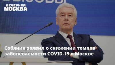 Сергей Собянин - Анна Попова - Собянин заявил о снижении темпов заболеваемости COVID-19 в Москве - vm.ru - Москва - Москва