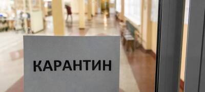 Несколько школ Петрозаводска перешли на дистант из-за ОРВИ и коронавируса - stolicaonego.ru - Петрозаводск - республика Карелия