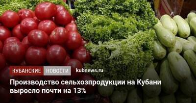 Производство сельхозпродукции на Кубани выросло почти на 13% - kubnews.ru - Краснодарский край