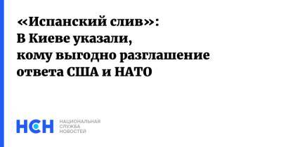 Руслан Бортник - «Испанский слив»: В Киеве указали, кому выгодно разглашение ответа США и НАТО - nsn.fm - Россия - США - Украина - Киев - Испания