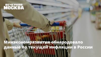 Минэкономразвития обнародовало данные по текущей инфляции в России - vm.ru - Россия