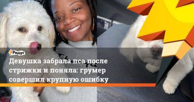 Девушка забрала пса после стрижки и поняла: грумер совершил крупную ошибку - ridus.ru - США