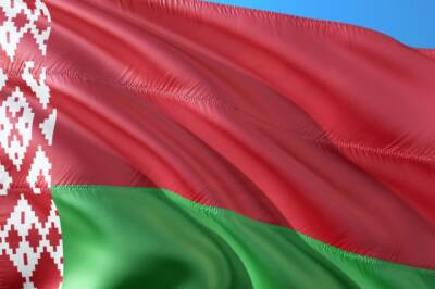 Александр Лукашенко - Анатолий Глаз - В Белоруссии образовали свыше 5500 участков для голосования на референдуме - aif.ru - Белоруссия