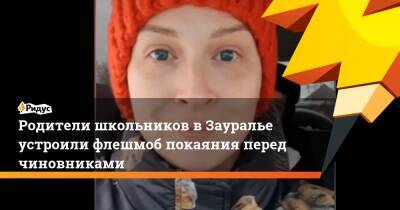 Родители школьников вЗауралье устроили флешмоб покаяния перед чиновниками - ridus.ru - Москва - Екатеринбург - Курганская обл. - Курган