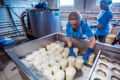 Эмбарго на поставки зарубежной продукции помогло бизнесу российских сыроделов - eadaily.com - Россия - Украина - Швейцария - Казахстан - Узбекистан - Белоруссия - Сербия - Азербайджан - Аргентина