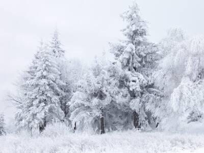 Какая погода ждет южноуральцев в четверг, 3 февраля - u24.ru - Челябинск